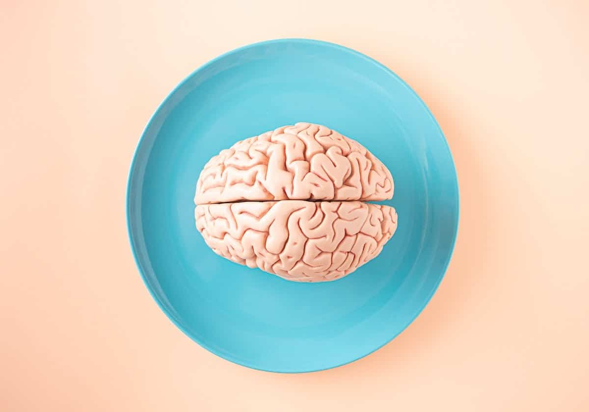 cerveau  neurologie