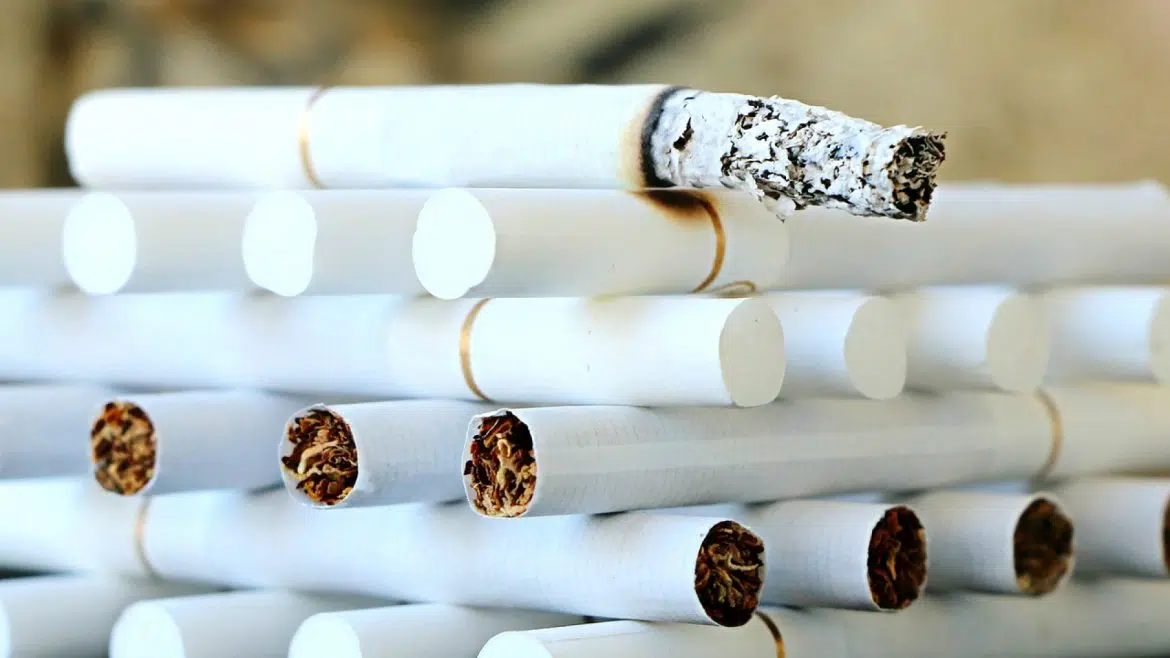 Acheter une tubeuse de cigarettes pour faire des économies