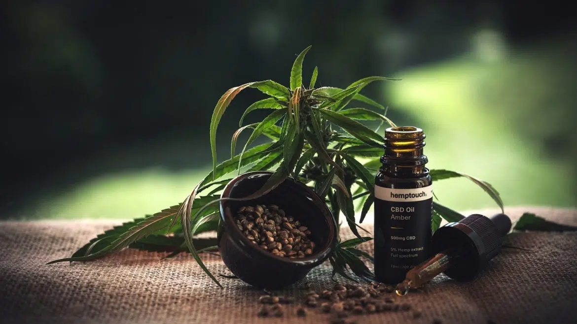 CBD : comment faire un bon choix ?