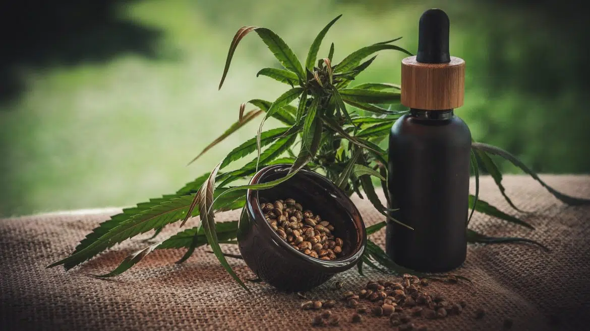 Pourquoi devriez-vous suivre des blogs sur le CBD ?