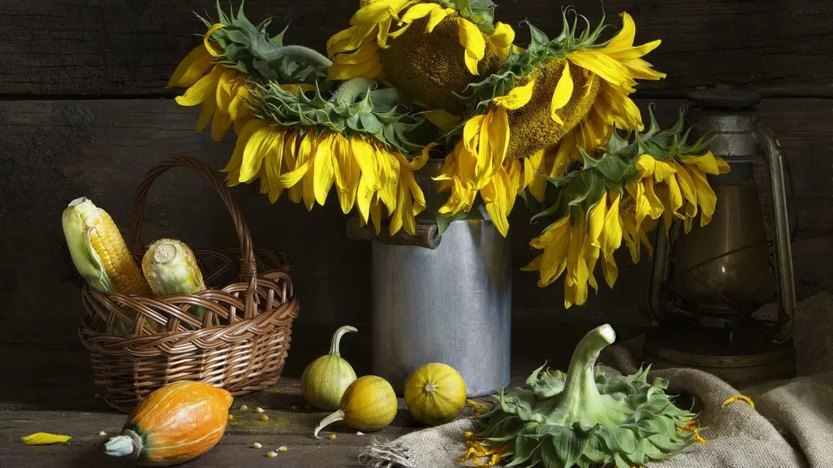 Quelles sont les différentes façons de consommer les graines de tournesol ?